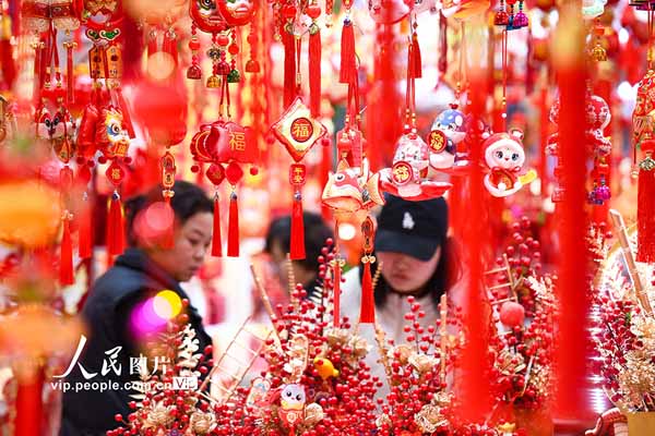 Shopping for Spring Festival goods brings festive cheer to E China's Jiangsu