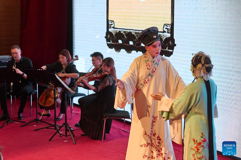 Cultural tourism promotion event on Spring Festival held in Brussels