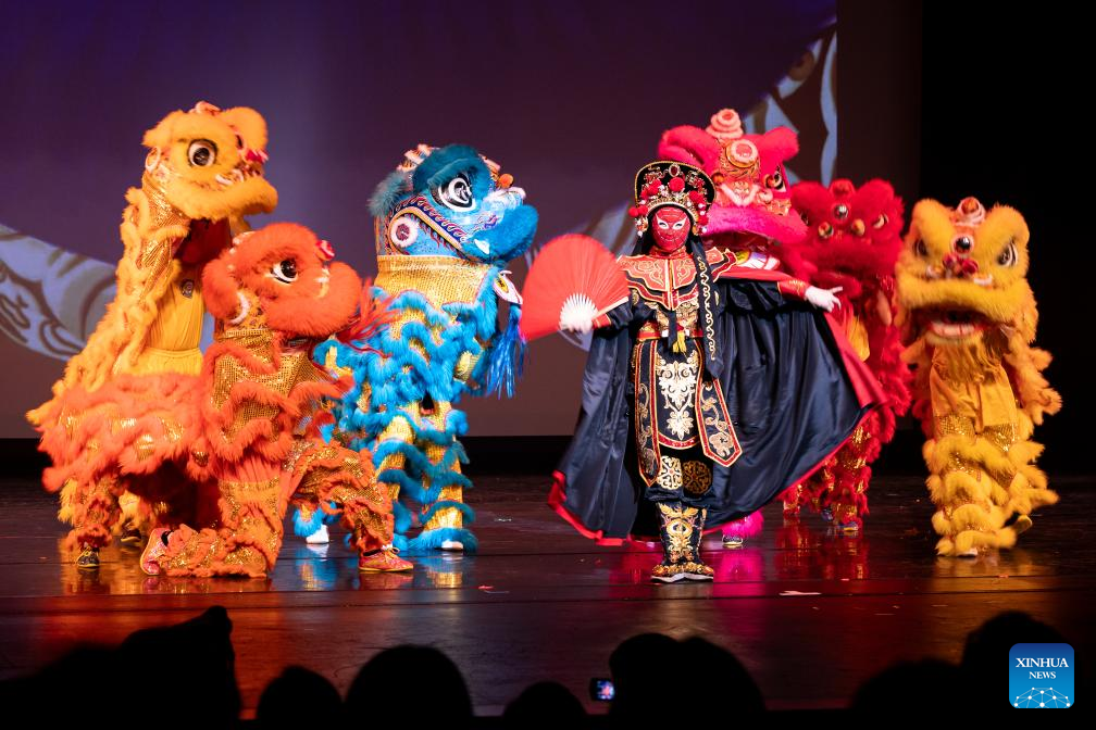 Spring Festival gala held in Houston